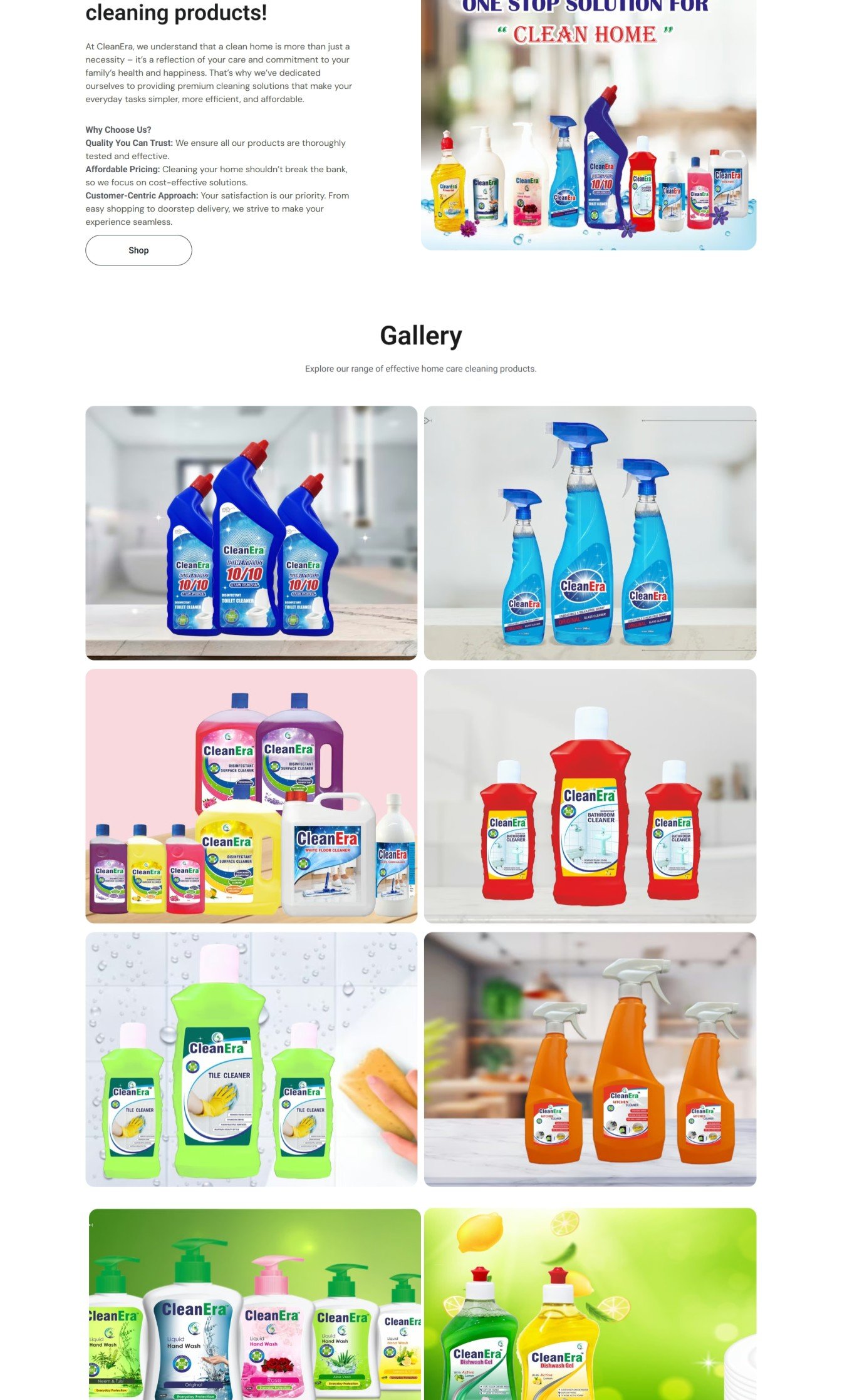 Brand Identity Design Lucknow - Professional Logo and Graphics Suite